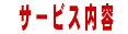 �T�[�r�X���e 